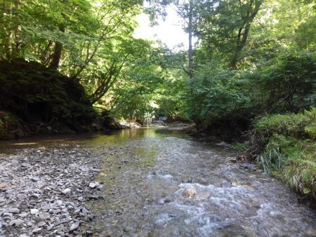 渓流ミノーイング